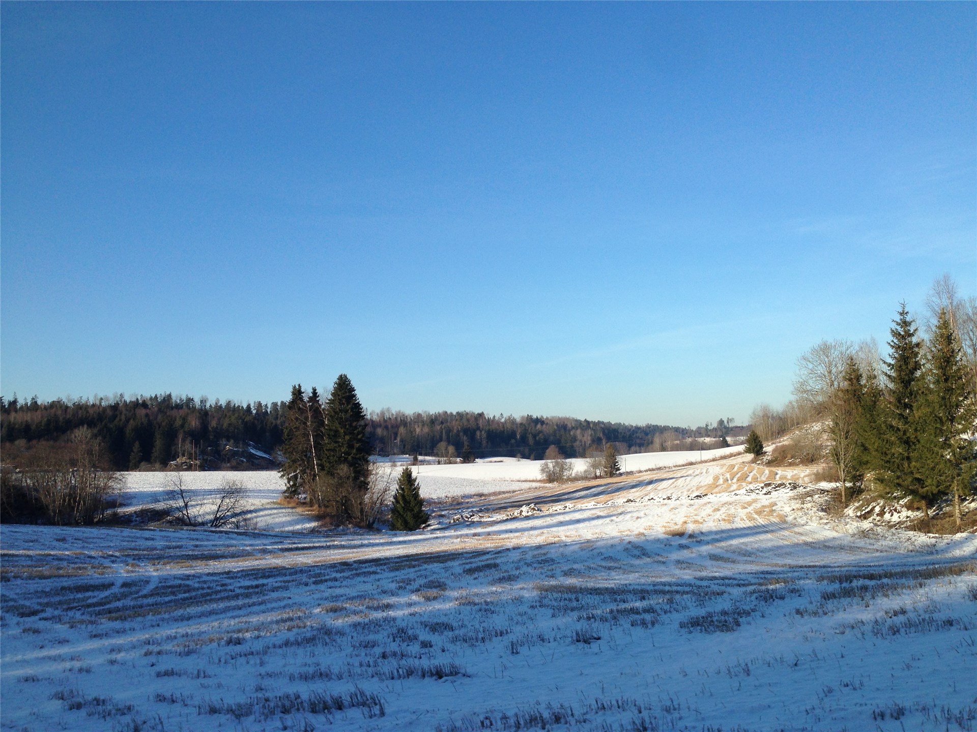 Vinterdag på Rokstiveien